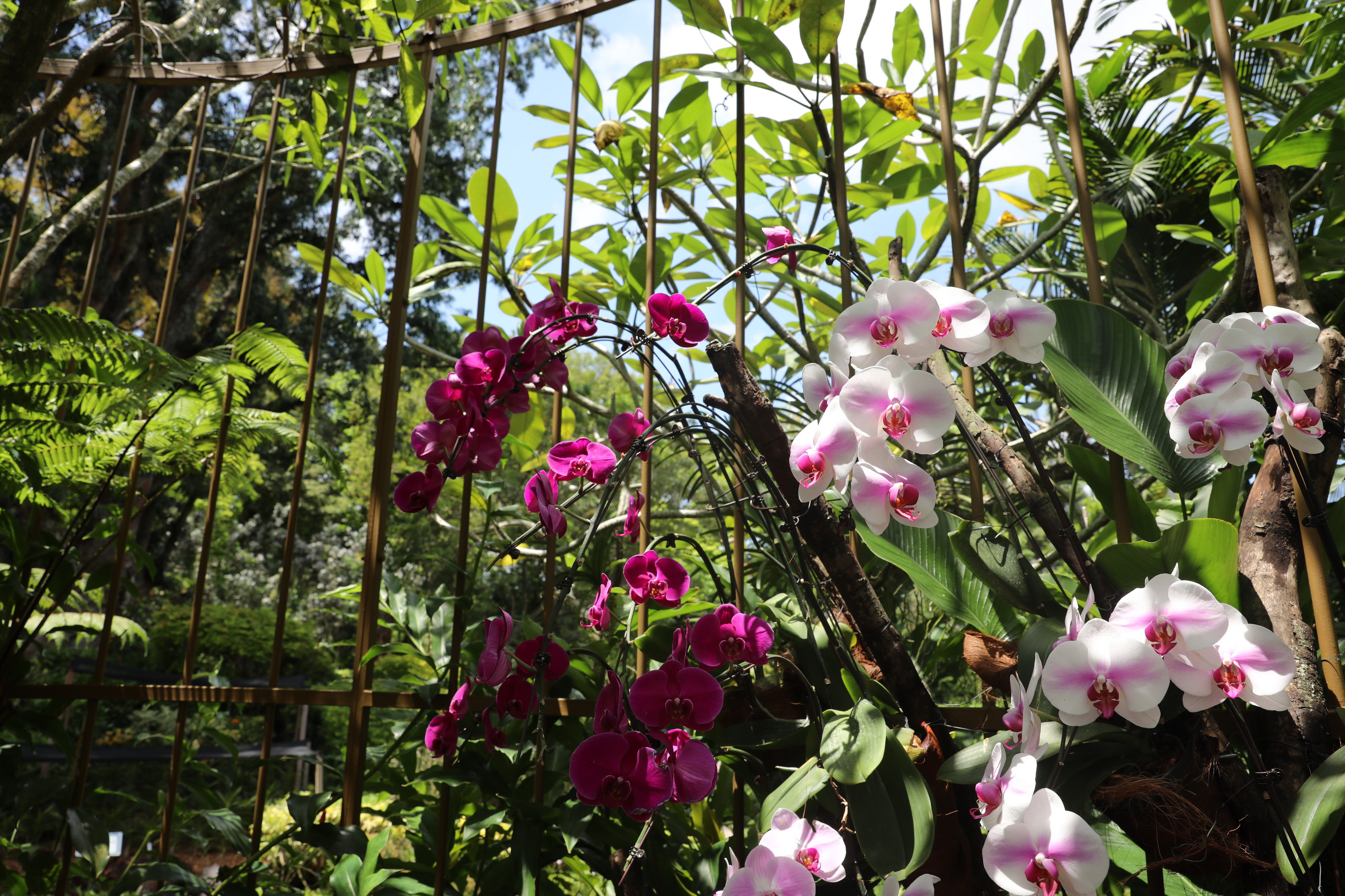 2020 02 03 13 24 16 Canon EOS 5D Mark IV 0012